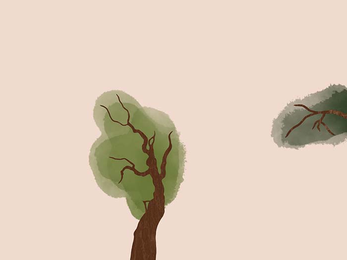 Two trees coming out from sides of image.