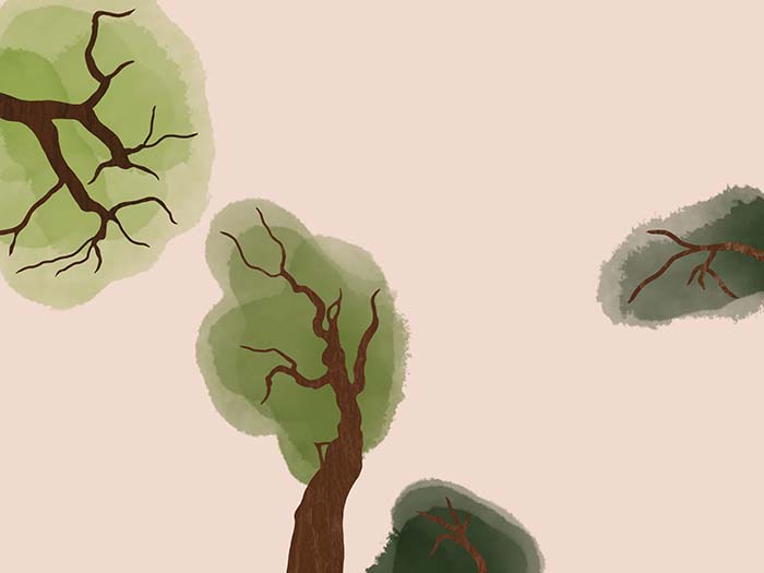 Four illustrated trees coming out from sides of image.