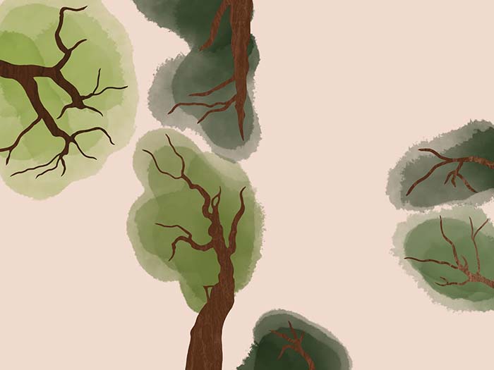 Six illustrated trees coming out from sides of image.