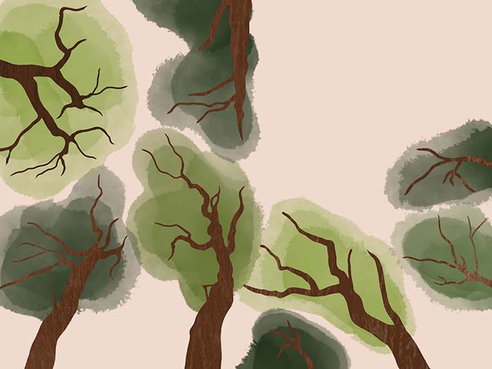 Eight illustrated trees coming out from sides of image.