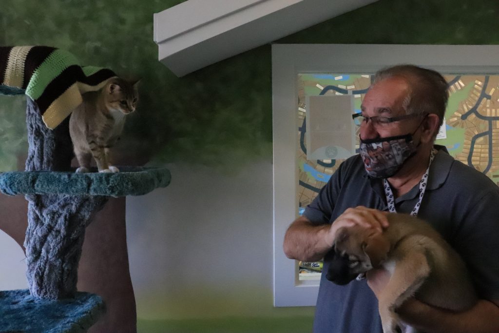 D'Arcy Johnston, an adult man, holds a medium sized puppy in his arms while standing beside a cat tree with a cat sitting on top.