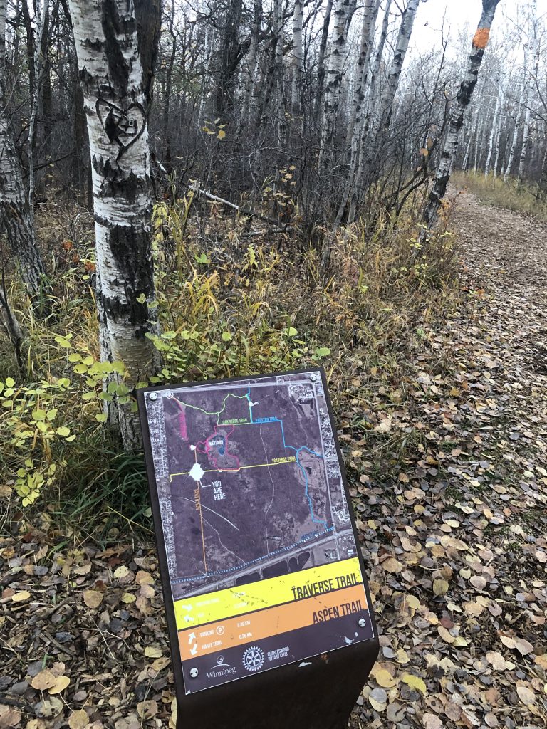 Image of a map showing the Traverse and Aspen trail at the Assiniboine Forest has the "you are here" portion scratched out. 