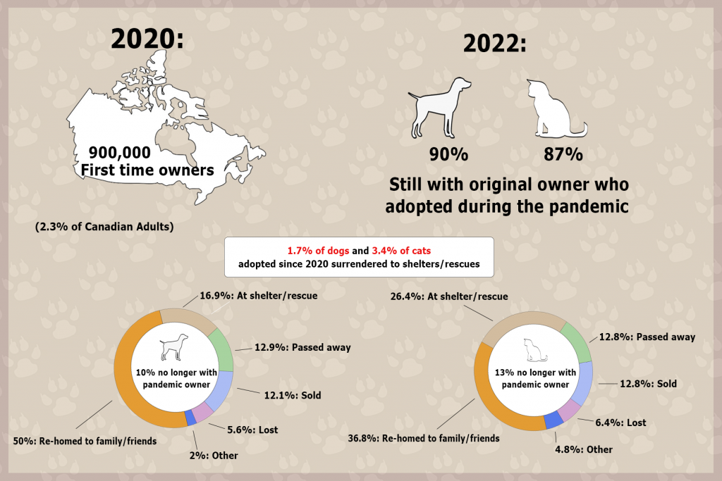 An infographic visualizing the numbers behind pet adoption during the pandemic and the percentage of pets not with their owners anymore.