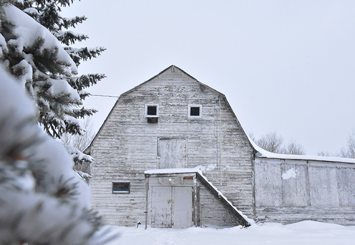 White barn in the winter.